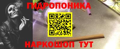шишки Нальчик