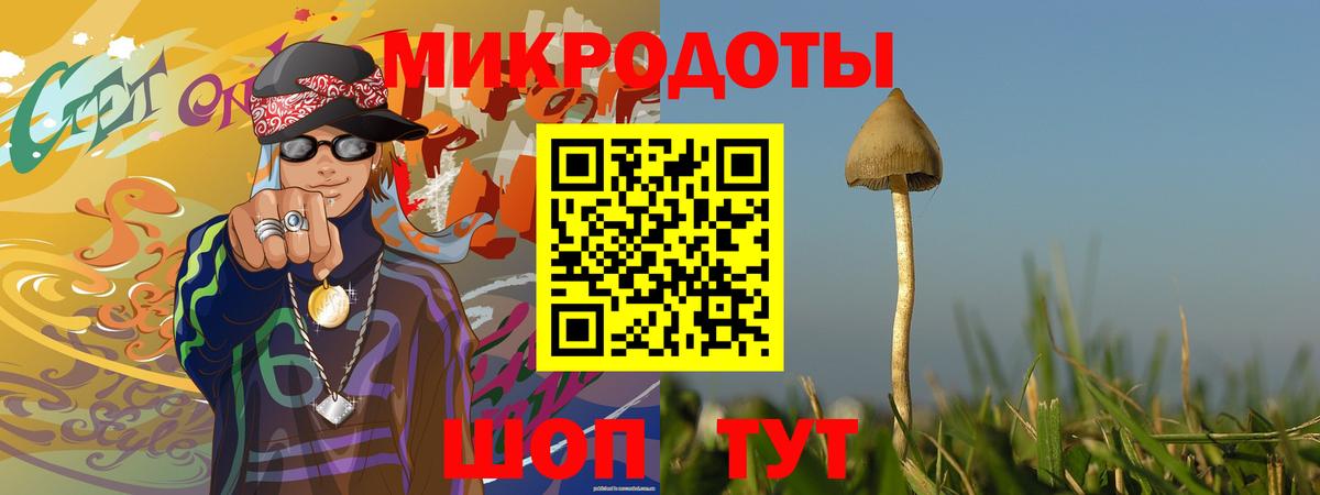 Галлюциногенные грибы GOLDEN TEACHER Топки